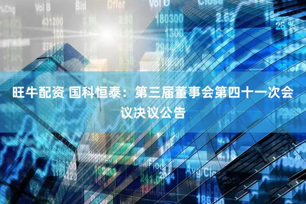旺牛配资 国科恒泰：第三届董事会第四十一次会议决议公告