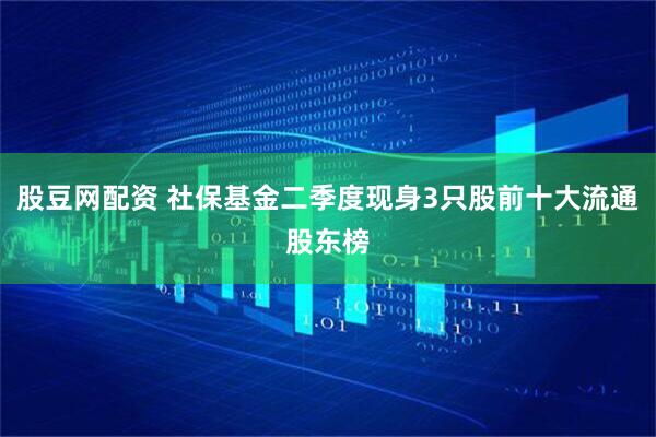 股豆网配资 社保基金二季度现身3只股前十大流通股东榜