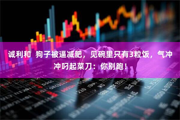 诚利和  狗子被逼减肥，见碗里只有3粒饭，气冲冲叼起菜刀：你别跑！